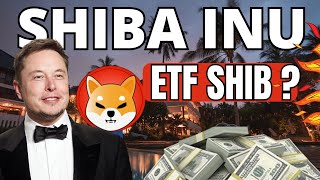 🦊 SHIBA INU ETF SHIB après ETH  Cest QUOI ça 🚀 GROSSES NEWS LUNC 🔥 [upl. by Mourant]