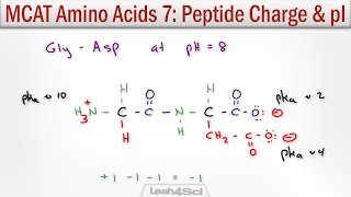 How to Calculate Peptide Charge and Isoelectric Point MCAT Trick [upl. by Fannie]