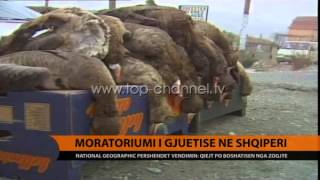 Moratoriumi i gjuetisë në Shqipëri  Top Channel Albania  News  Lajme [upl. by Derej]