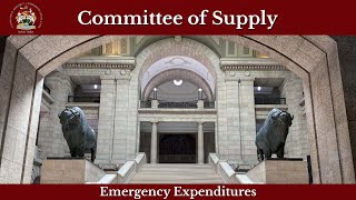 Committee of Supply  255  November 4 2024 [upl. by Latin]