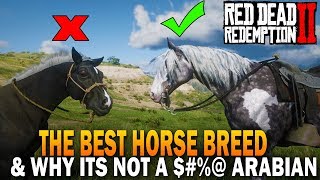 The BEST HORSE Breed In RDR2 And Why Its Not an Arabian  Red Dead Redemption 2 Horses [upl. by Eirb]