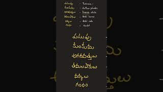 Vashista 360 Spoken English [upl. by Latini]