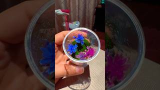 Creating smallest Terrarium terrarium iumterrariums london craft [upl. by Martsen]