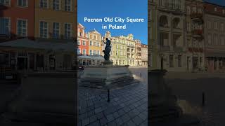 Poznan City Square in Poland everyone followers [upl. by Derzon895]