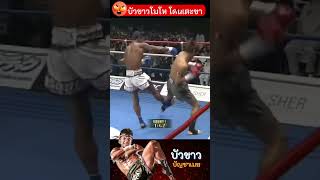 อย่าทำให้ บัวขาว โมโห ❌❌🤬🤬 บัวขาว muaythai boxing มวยไทย [upl. by Lipfert]