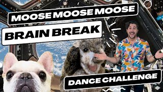 quotMOOSE MOOSE MOOSEquot  Kids Dance Challenge  Brain Break  Super Sing Along Time  Mr Darling [upl. by Ardnuhsal]