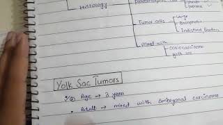 Testicular Carcinomas Part 2 Pathology  4th Lecture  Robbin [upl. by Idhem]