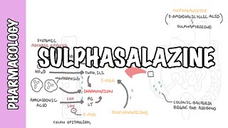 Sulphasalazine DMARD  Pharmacology mechanism of action metabolism side effects [upl. by Bowerman]