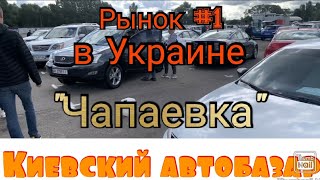 «Чапаевка» крупнейший авторынок Украины г Киев Цены на авто [upl. by Dzoba]