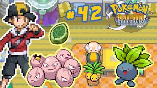 42 Evoluindo o EXEGGCUTE para EXEGGUTOR Conseguindo a Leaf Stone em Cerulean [upl. by Hersch558]