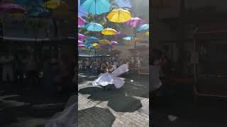 Sega Mauritian Folk Dance💃🏻 mauritius travel dance folkdance sega folk trending viralshort [upl. by Nautna847]