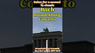 Bach Brandenburg Concertos  바흐 브란덴부르크 협주곡 Relax for a second in classic [upl. by Adnimra]