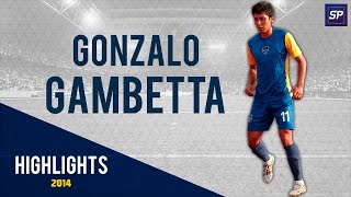 Gonzalo Gambetta  Highlights 2014  HD [upl. by Akili]