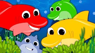 We Are The Dolphins  Nursery Rhymes For Kids  Baby Dolphin Song  Children Rhyme [upl. by Ninon]