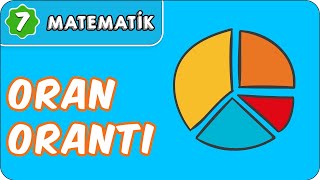 Oran  Orantı  7 Sınıf Matematik evokul Kampı [upl. by Humo]