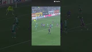 Seidl Goal VS Austria rapid [upl. by Harald]