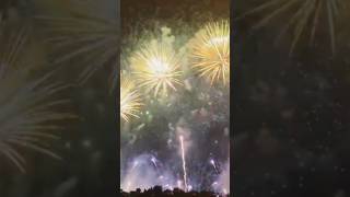 National Day UAE fireworks festival city shorts shortvideo 2024 [upl. by Ixela]