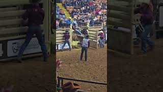 Saddle Bronco Fort Worth Rodeo 1124 [upl. by Abekam]