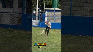 el 🐕 de huesos 🤣🤣 viralvideo humor funny [upl. by Hobie]