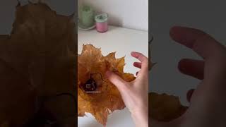 🍁 leaf lamp  autumn season piano  Nisha saifi post 🔥 [upl. by Jamnes]