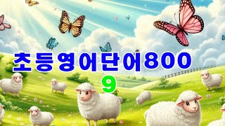 초등영어단어 800 문장9 영어회화 영어말하기 영어받아쓰기 초등영어완성 [upl. by Elisee]