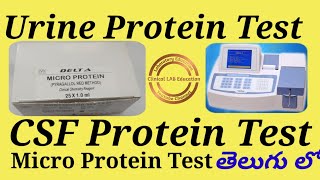 Urine Protein Test And CSF Protein Test in Pyrogallol Red Method in TELUGUDELTA  Erba [upl. by Adlai585]