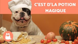 Recette de friandise pour chien 🐶  COURGE POTIRON [upl. by Rodama21]