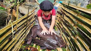 Full video On a 15day journey boy Phu created many traps to catch large fish in the stream [upl. by Ydnil]