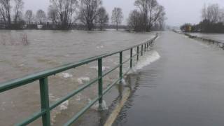 Hochwasser Kleve  Griethausen Warbeyen am 13012011 [upl. by Raven]