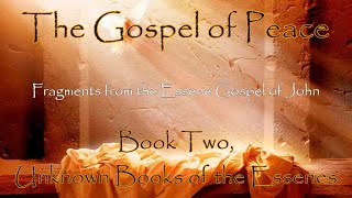 Fragments of the Essene Gospel of John Essene Gospel of Peace Book2 [upl. by Fritz746]