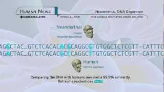 Science Bulletins Neanderthal DNA Sequenced [upl. by Ajam]