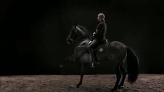 Thunder  Horse Music Video [upl. by Spike]