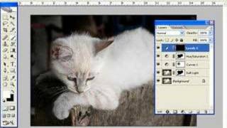 Lesson 2  Part 2 Introduction to Adjustment Layers [upl. by Aihseit]