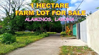 1 HECTARE FARM LOT FOR SALE PROP 164 ALAMINOS LAGUNA [upl. by Amaras592]