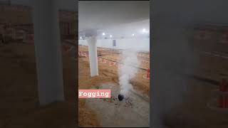 Fogging  Disinfect Poultry Shed  Disinfectant protocols  Cleaning Poultry Farm  poultry [upl. by Hughmanick723]