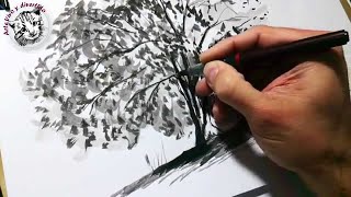 Como Dibujar con Tinta Dar sombra textura y efectos con tinta [upl. by Britton]