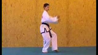 ITF TaekwonDo Patterns 2 of 14 Saju Makgi [upl. by Camille]