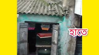 আমি তোমাকে একদম অন্যরকম খবর দিতে চাই [upl. by Yleoj]