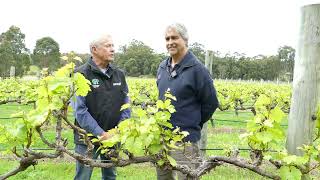 Margaret River viticulture update for growers with AHA Viticulture SPRING 2023 [upl. by Uund]