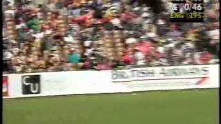 5th Ashes Test Perth Australia vs England 199495 [upl. by Hsemin]