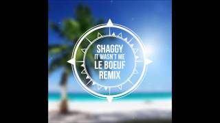 Shaggy  It Wasnt Me Le Boeuf Remix [upl. by Hodosh]