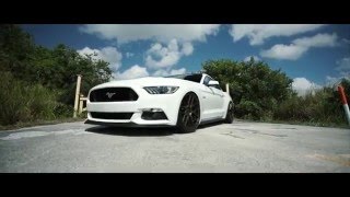 2016 Mustang GT Oxford White on Velgen Wheels VMB7 Satin Bronze [upl. by Inattirb]