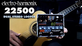 ElectroHarmonix 22500 Dual Stereo Looper Pedal Demo by Bill Ruppert [upl. by Donough]