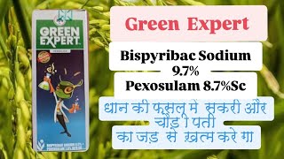 Green Expert Herbicide Bispyribac Sodium 95Pexosulam 78 SCpaddy [upl. by Milak]