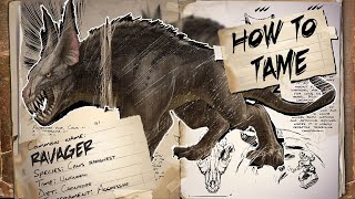 Ark Survival Evolved How To Tame Ravager [upl. by Ahsiloc279]