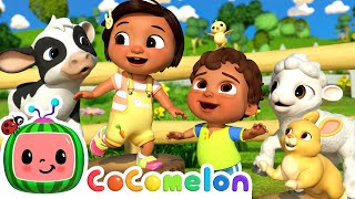 Baby Animal Dance  CoComelon Nursery Rhymes amp Kids Songs [upl. by Cruz142]