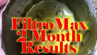 Magnetic Oil Filter Review 2 Months [upl. by Yalahs]