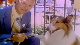 NATIONAL DOG DAY Beloved TV dog Lassie gave hilarious interview in retro find [upl. by Akel]