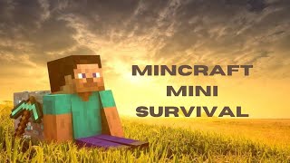 Minecraft Mini Server geht nur eine stunde lang typisch discord server [upl. by Enilaf]