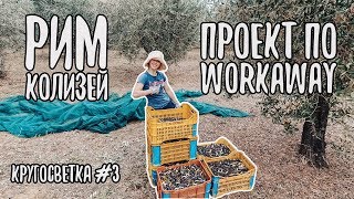 Рим Волонтерство в Италии Workaway info [upl. by Neirb]